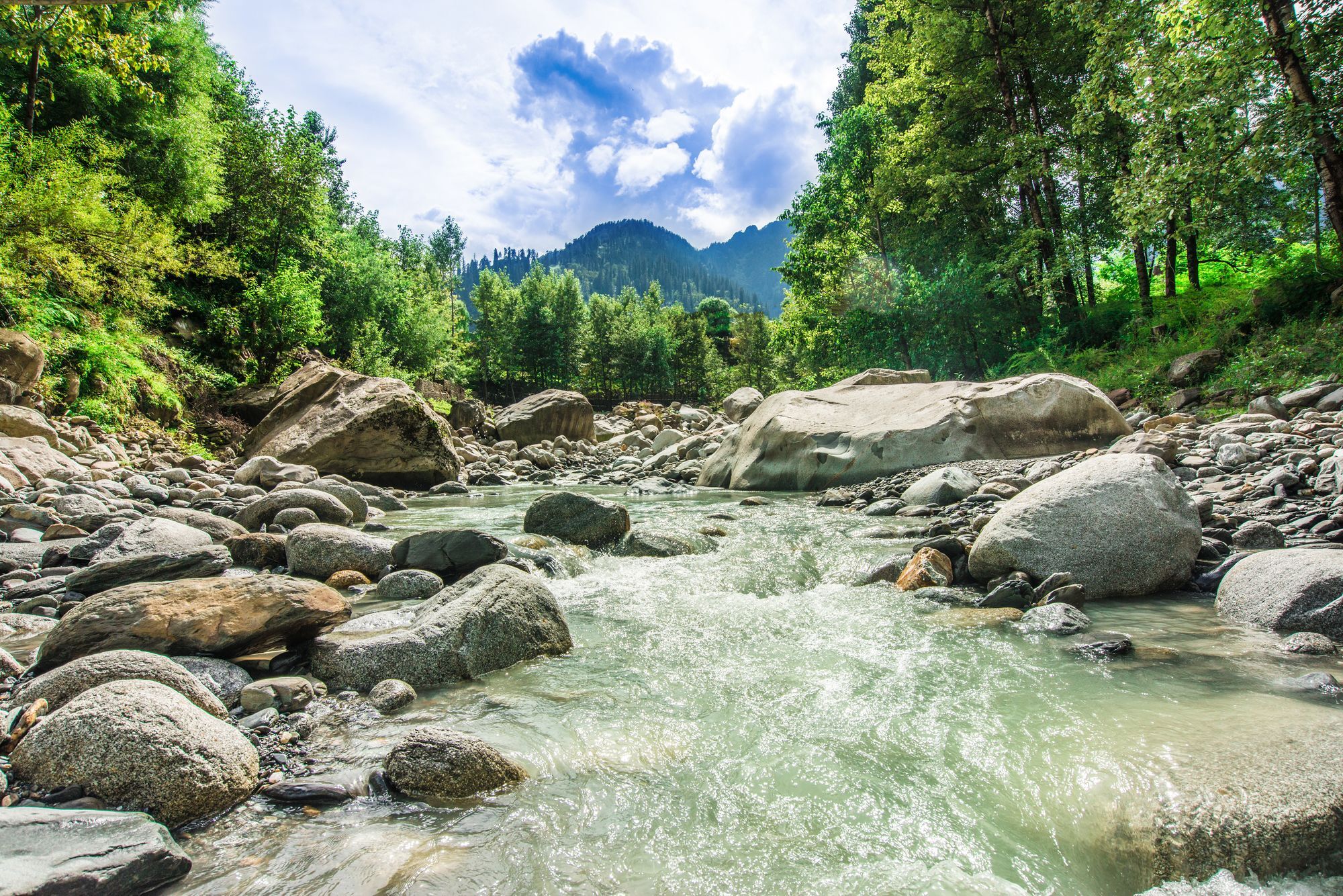 Solang Valley Resort Palchān Kültér fotó