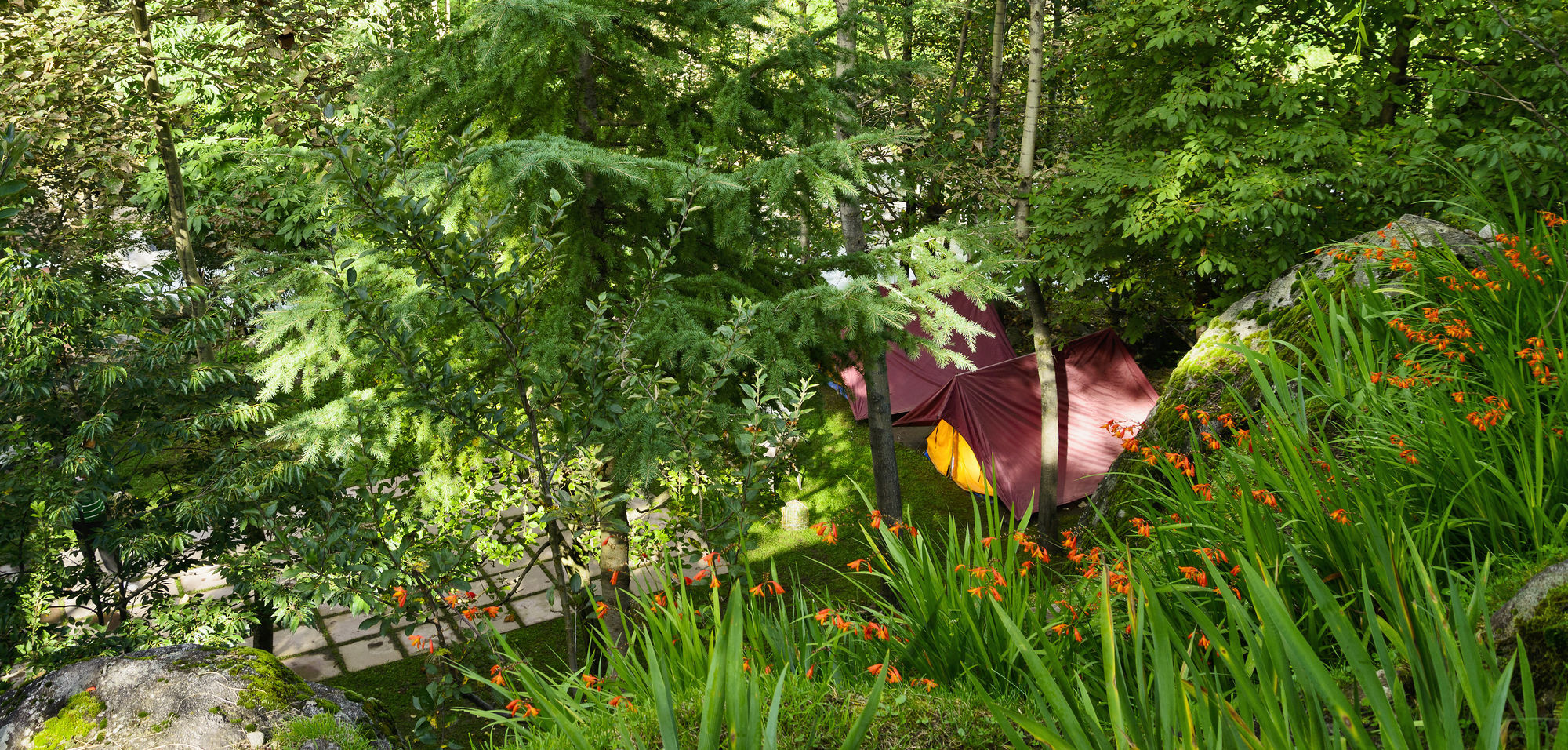 Solang Valley Resort Palchān Kültér fotó