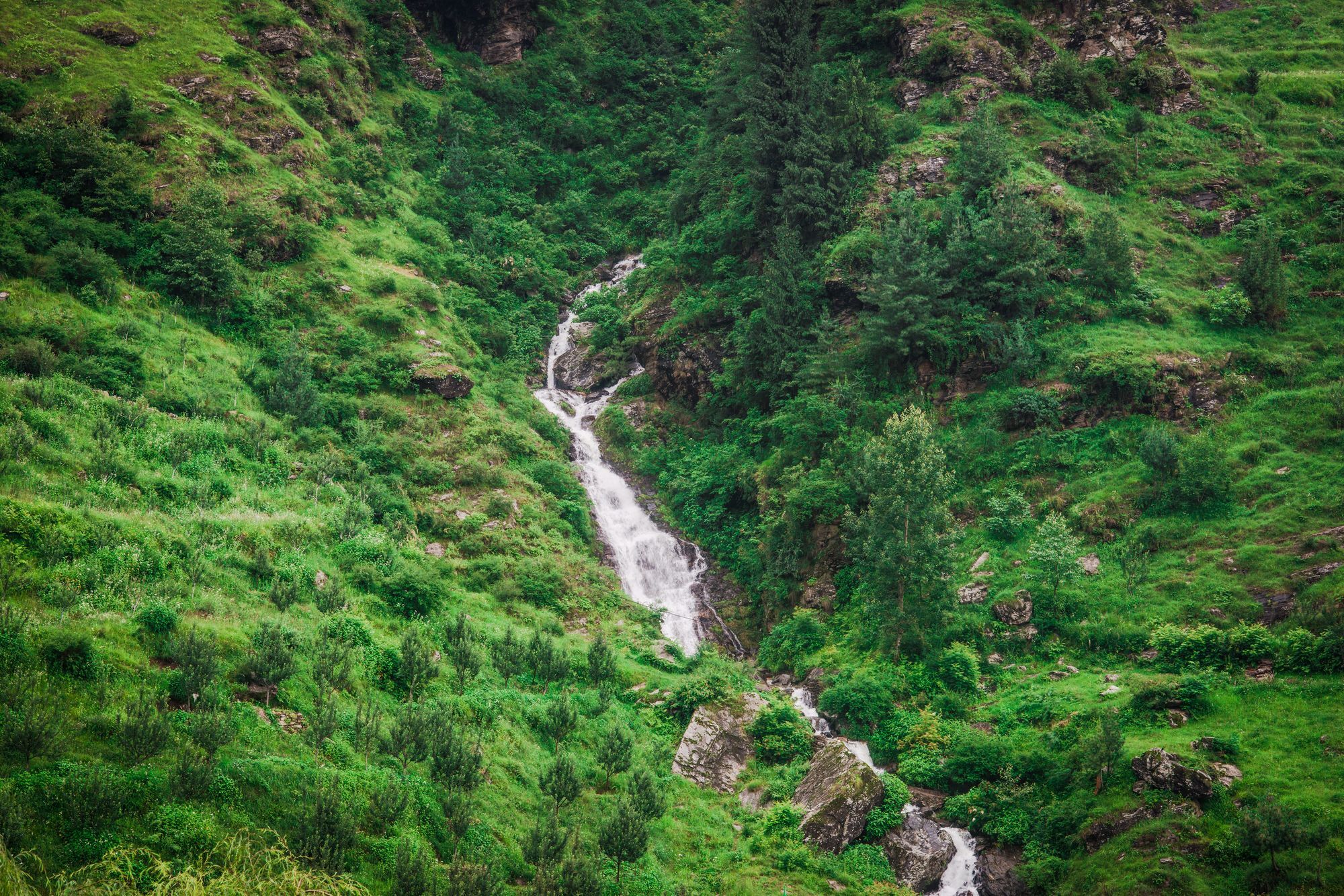 Solang Valley Resort Palchān Kültér fotó