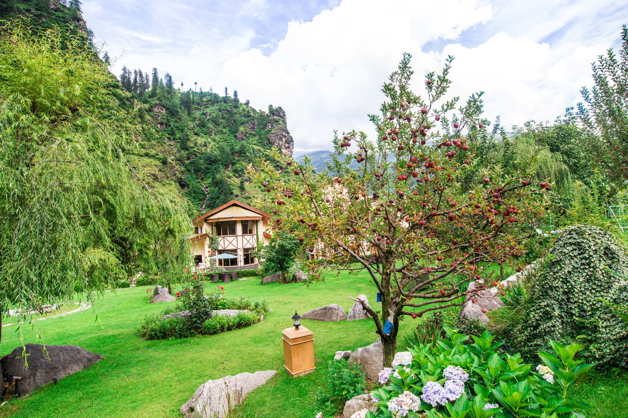 Solang Valley Resort Palchān Kültér fotó