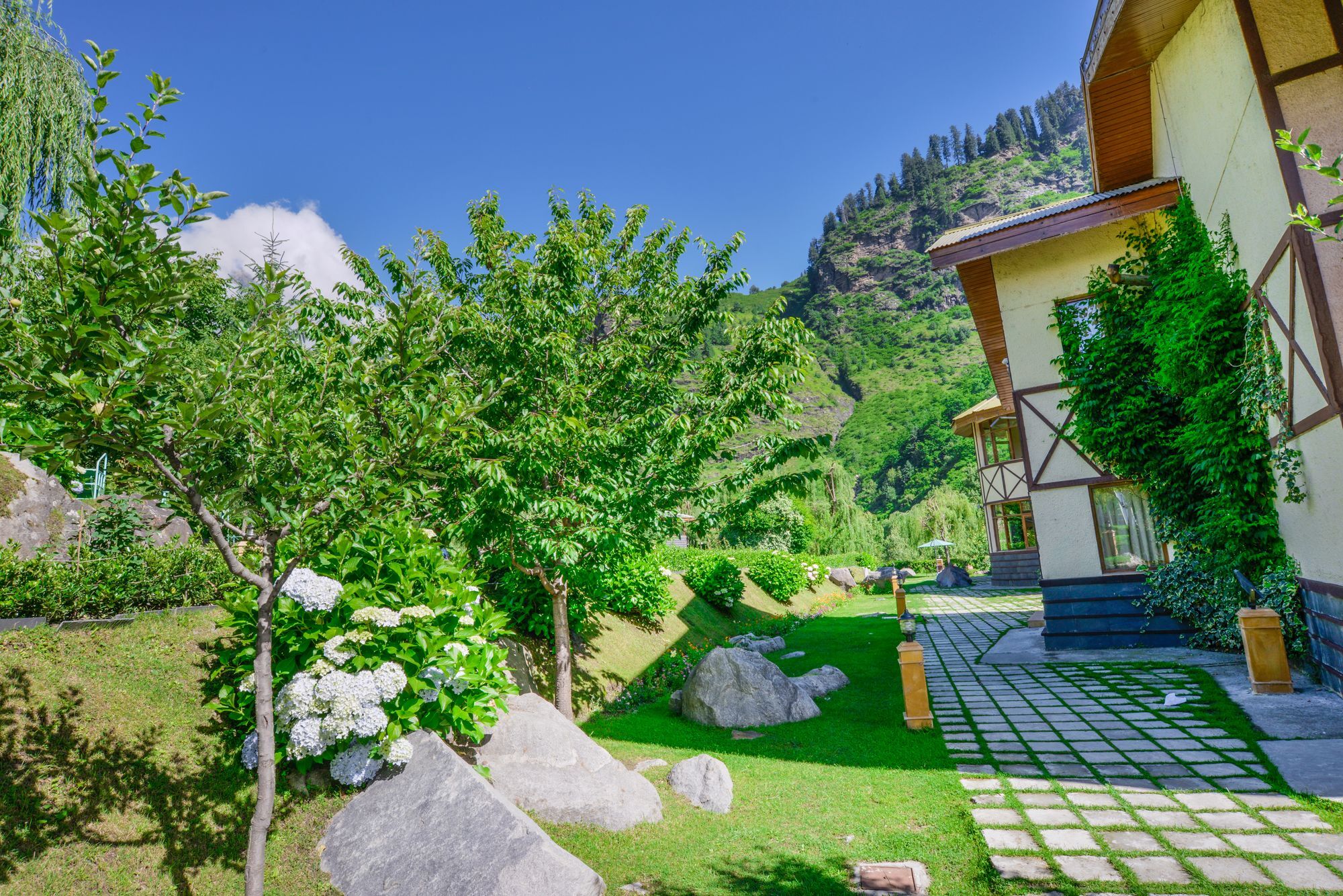 Solang Valley Resort Palchān Kültér fotó