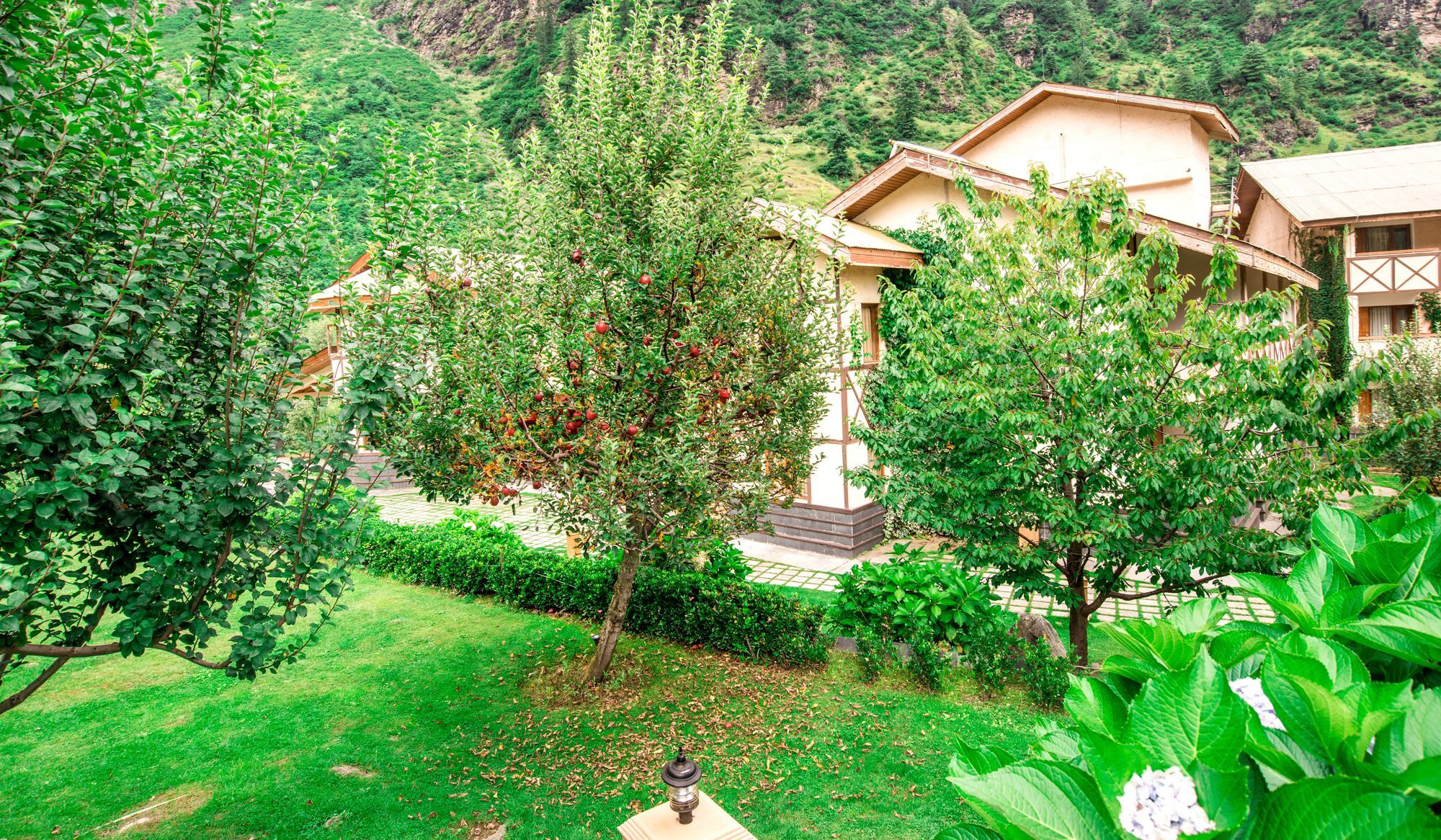 Solang Valley Resort Palchān Kültér fotó